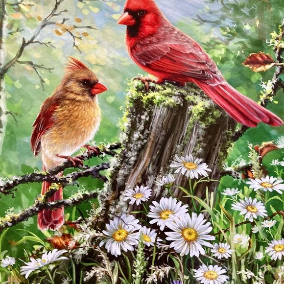 Springbok Jigsaw Puzzle - Picture 2 of 12